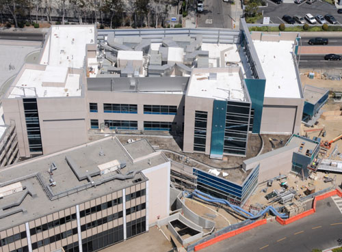 LB_Miller_childrens_#20012